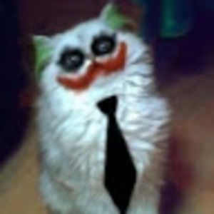 Meet your Posher, Dante